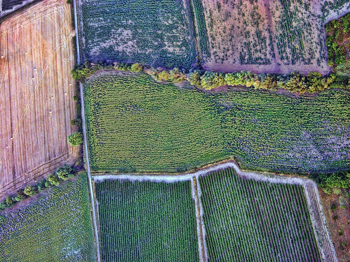 Aerial view of cultivated farm fields
